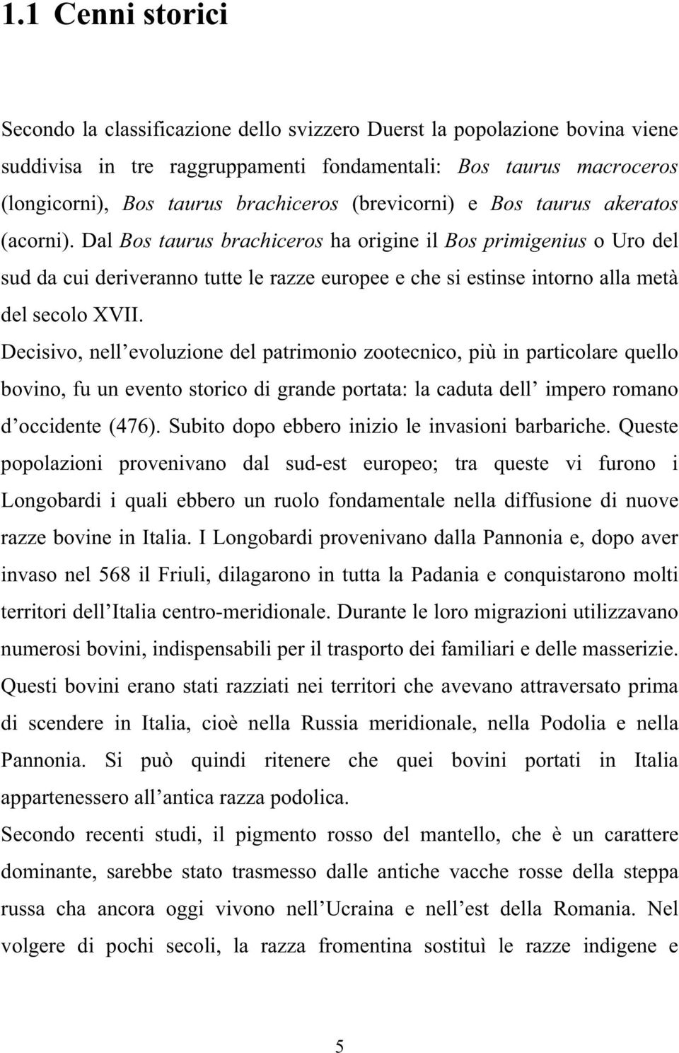 Dal Bos taurus brachiceros ha origine il Bos primigenius o Uro del sud da cui deriveranno tutte le razze europee e che si estinse intorno alla metà del secolo XVII.