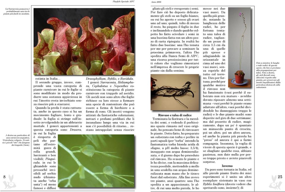 8 estinta in Italia Il secondo gruppo, invece, comprende una vasta categoria di piante carnivore in cui le foglie si sono modificate in modo da produrre una sostanza appiccicosa in cui l insetto