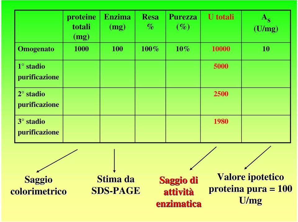 purificazione 2500 3 stadio purificazione 1980 Saggio colorimetrico Stima