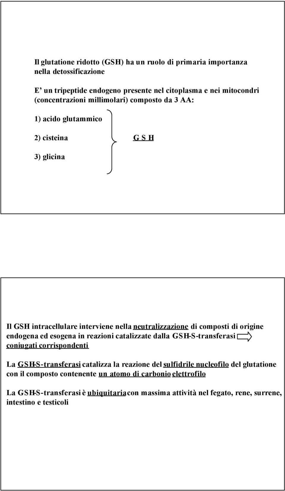 origine endogena ed esogena in reazioni catalizzate dalla GSH-S-transferasi coniugati corrispondenti La GSH-S-transferasi catalizza la reazione del sulfidrile