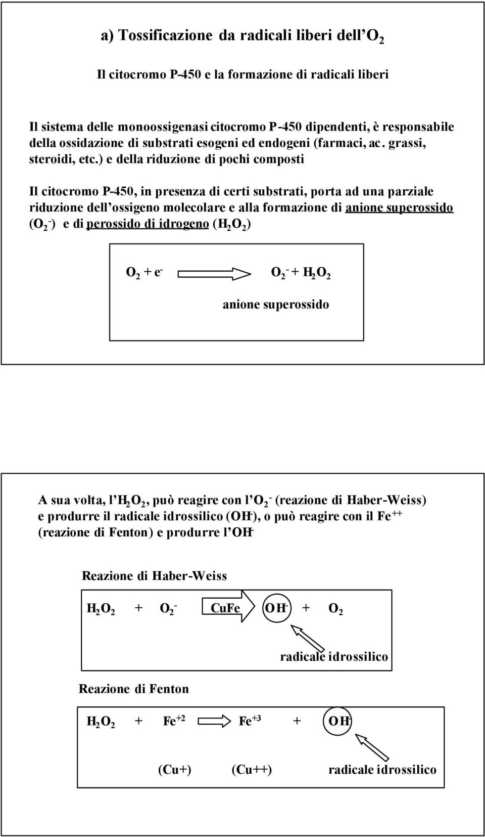 ) e della riduzione di pochi composti Il citocromo P-450, in presenza di certi substrati, porta ad una parziale riduzione dell ossigeno molecolare e alla formazione di anione superossido (O 2 - ) e