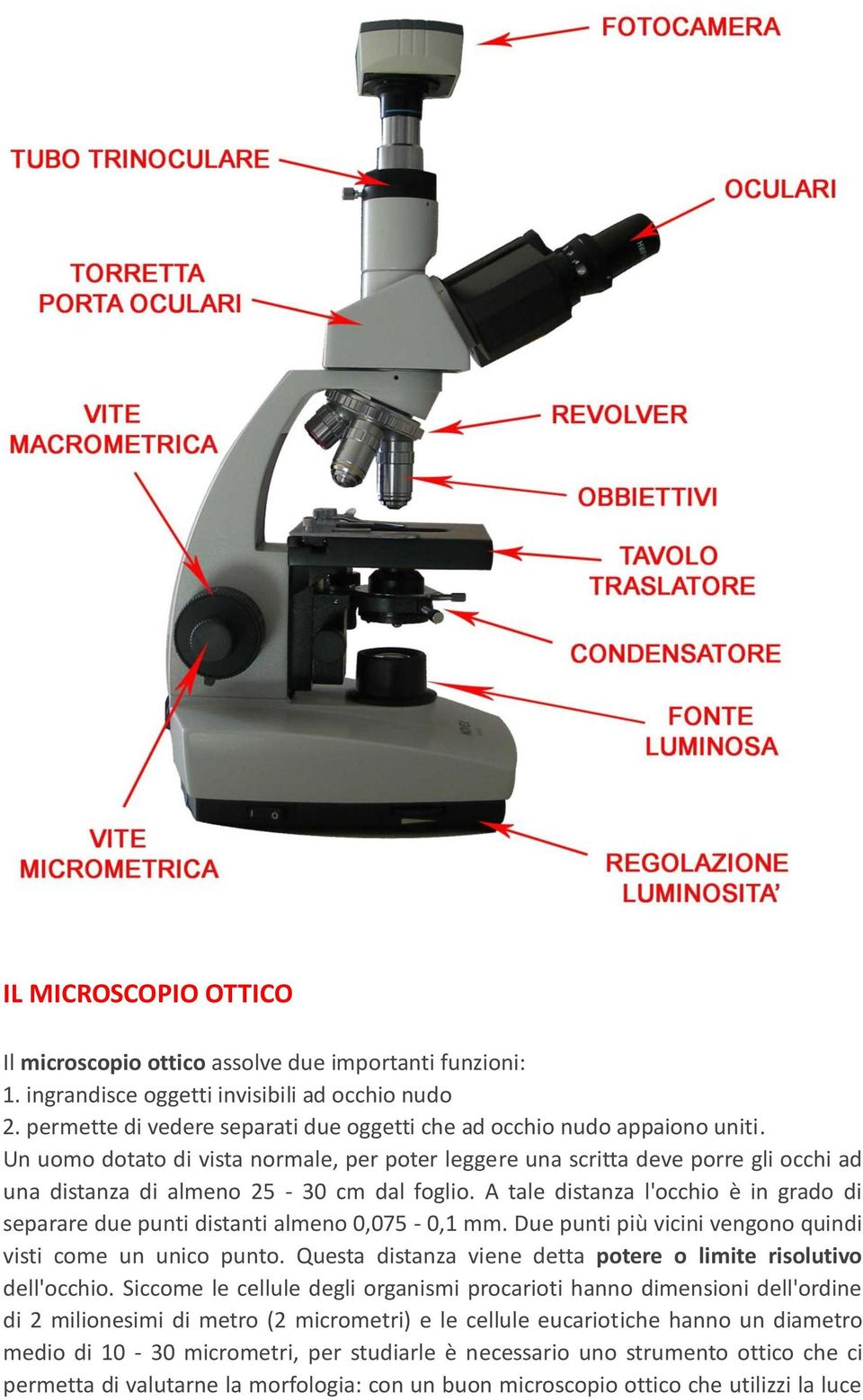 Un uomo dotato di vista normale, per poter leggere una scritta deve porre gli occhi ad una distanza di almeno 25-30 cm dal foglio.