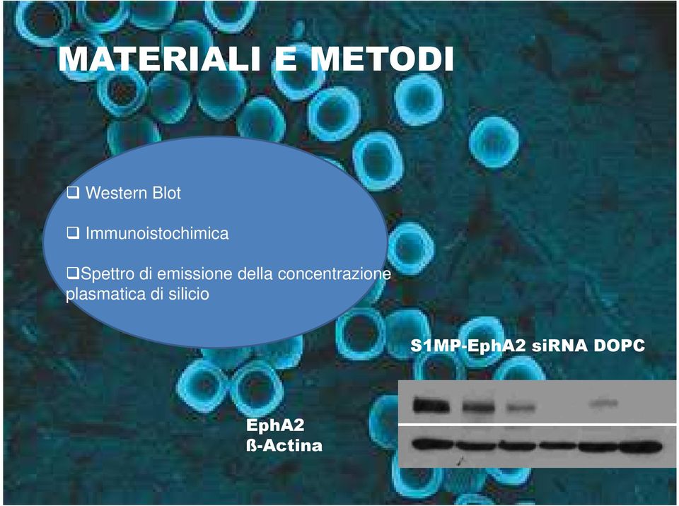 Immunoistochimica del plasma accoppiato induttivamente. E stato rinvenuto silicio ad una λ rispettivamente di 250.69, 251.43, 251.61, e 288.