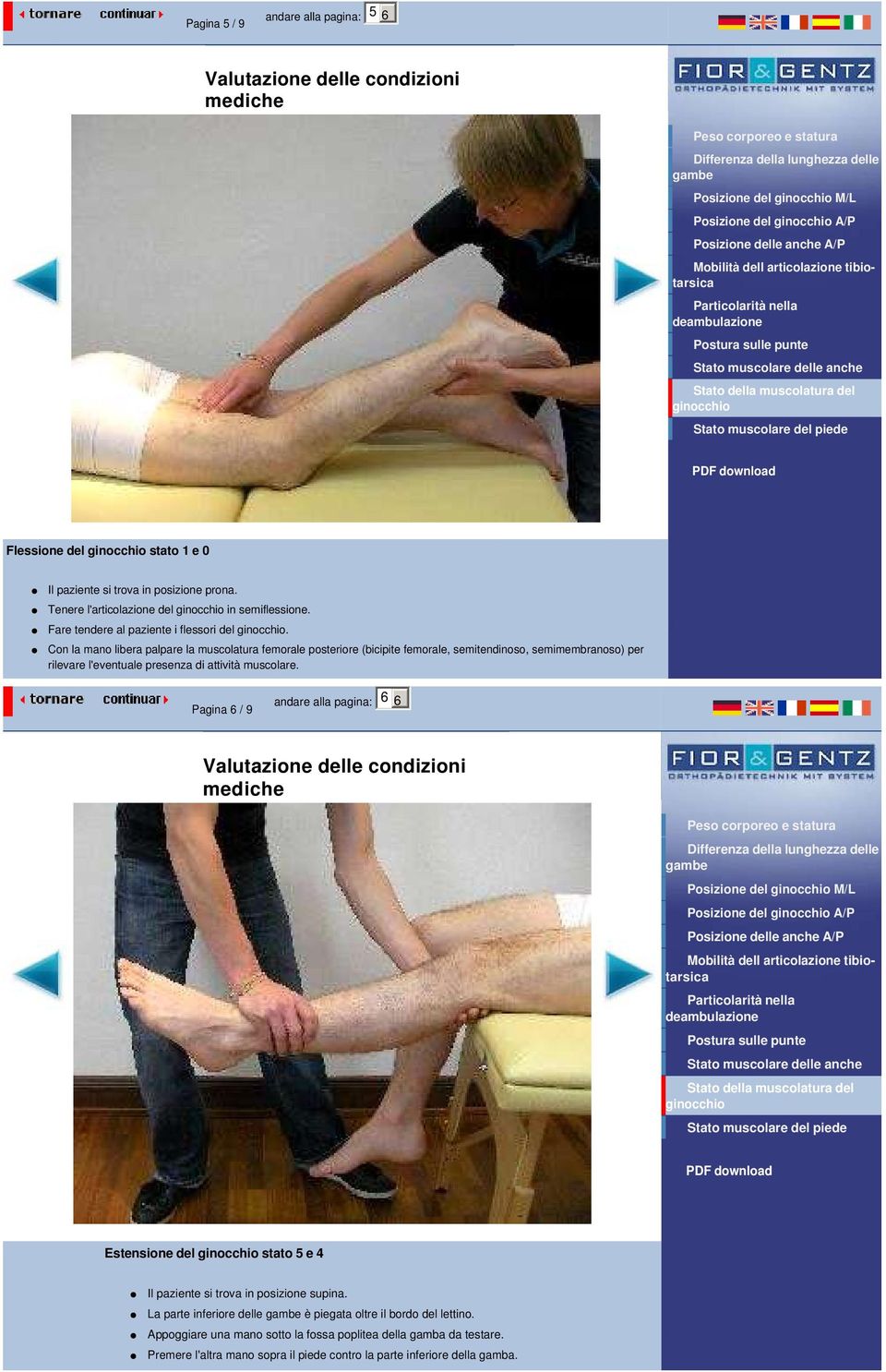 Con la mano libera palpare la muscolatura femorale posteriore (bicipite femorale, semitendinoso, semimembranoso) per rilevare l'eventuale presenza di attività muscolare.