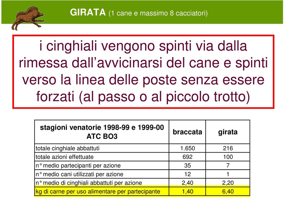 girata totale cinghiale abbattuti 1.