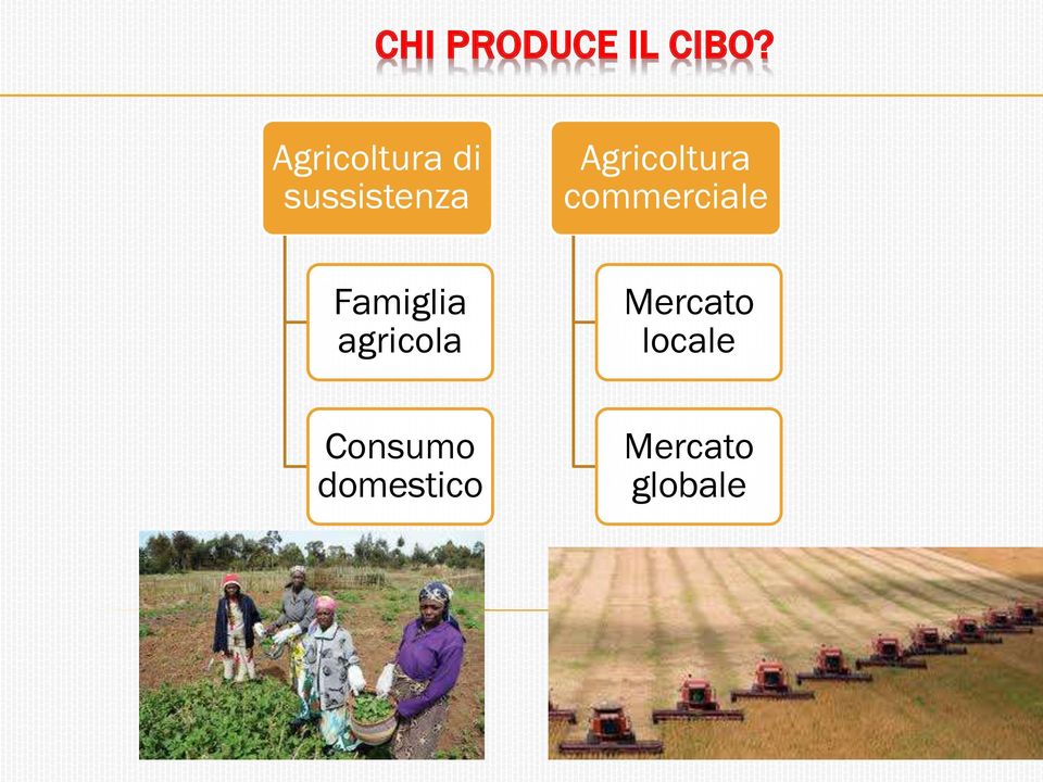 Famiglia agricola Consumo