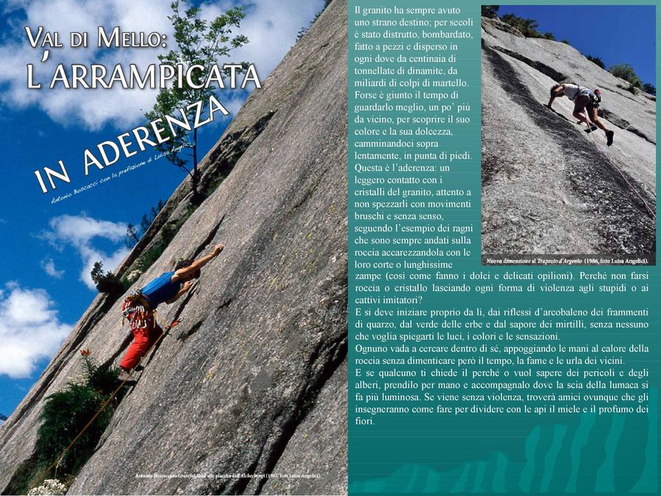 Questa è l aderenza: un leggero contatto con i cristalli del granito, attento a non spezzarli con movimenti bruschi e senza senso, seguendo l esempio dei ragni che sono sempre andati sulla roccia