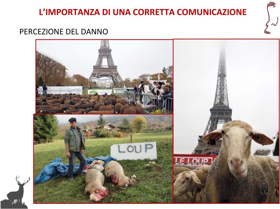 000,00 CINGHIALE CANIDI 2.500.000,00 2.000.000,00 1.500.000,00 1.000.000,00 500.