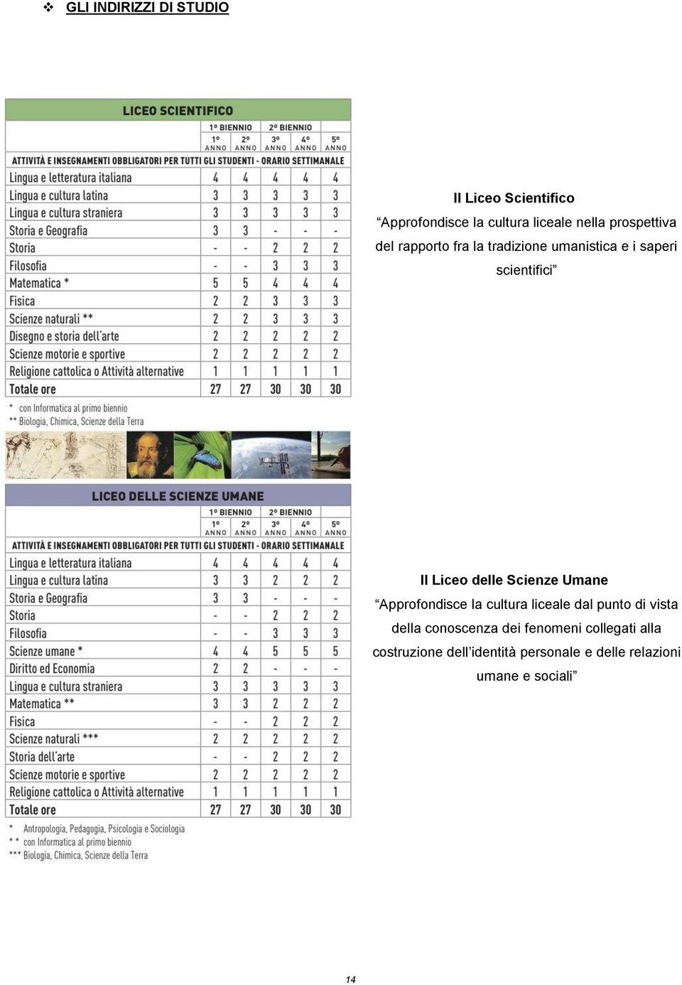 delle Scienze Umane Apprfndisce la cultura liceale dal punt di vista della cnscenza