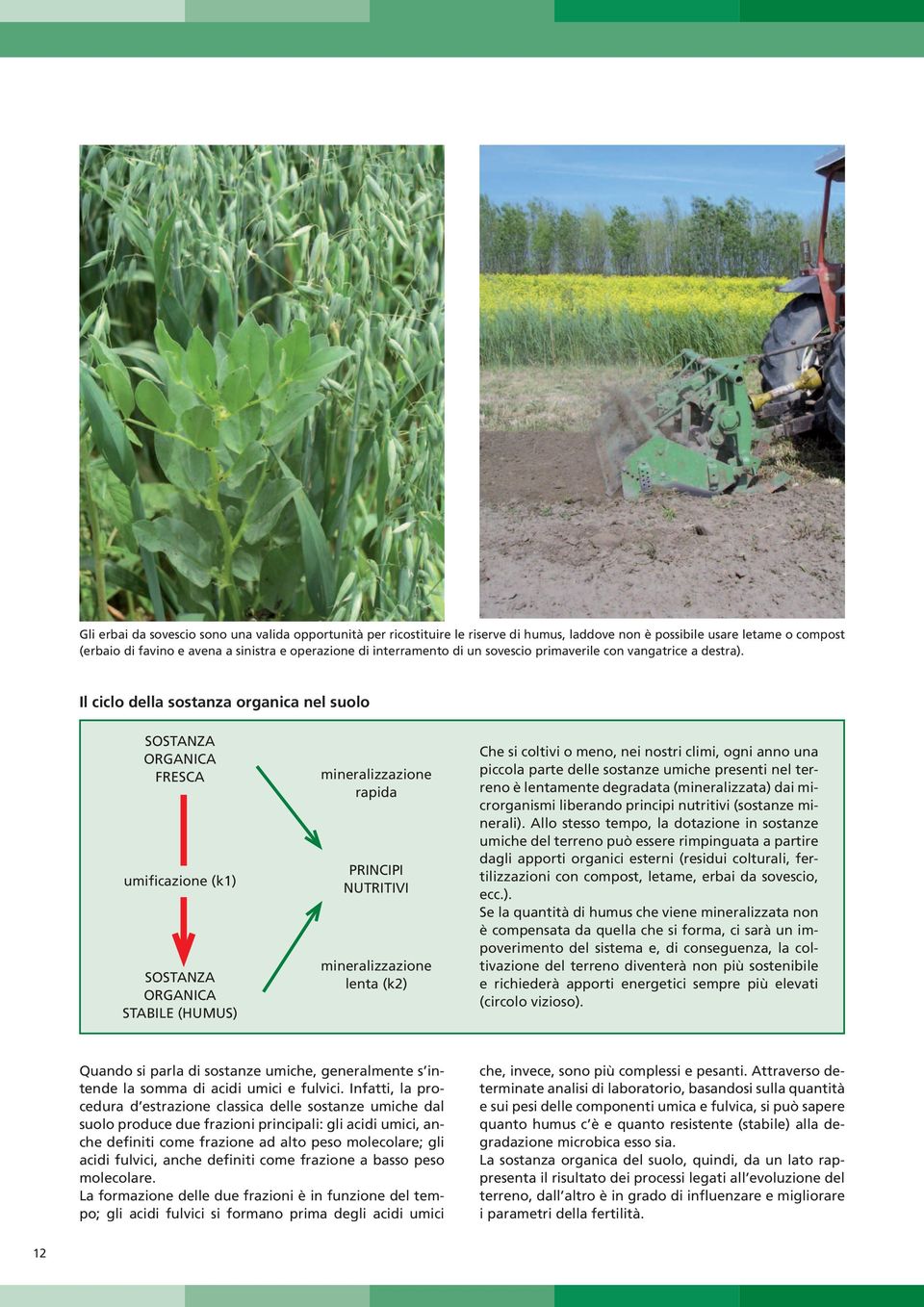 Il ciclo dell sostnz orgnic nel suolo SOSTANz orgnic fresc umificzione (k1) sostnz orgnic STABILE (humus) minerlizzzione rpid principi nutritivi minerlizzzione lent (k2) Che si coltivi o meno, nei