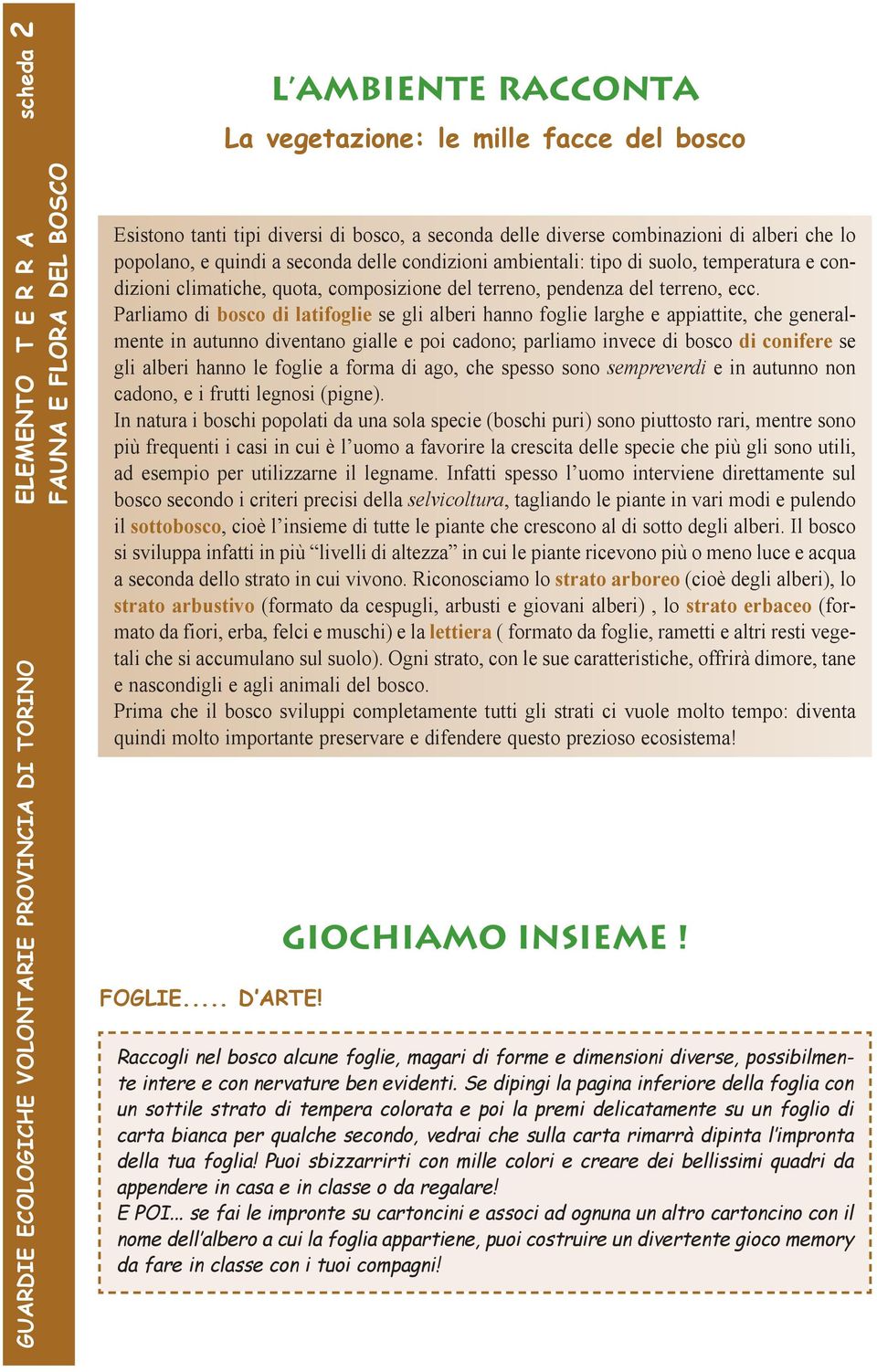 Parliamo di bosco di latifoglie se gli alberi hanno foglie larghe e appiattite, che generalmente in autunno diventano gialle e poi cadono; parliamo invece di bosco di conifere se gli alberi hanno le