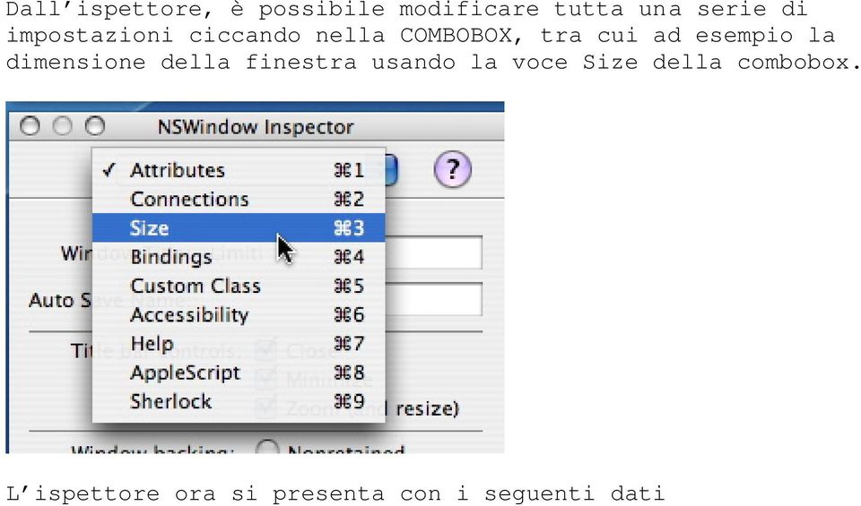 esempio la dimensione della finestra usando la voce Size