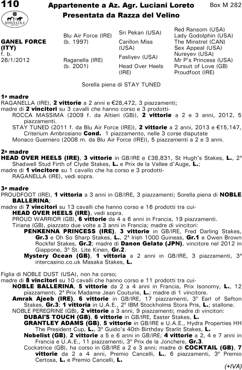 RAGANELLA, 2 vittorie a 2 anni e 28,472, 3 piazzamenti; madre di 2 vincitori su 3 cavalli che hanno corso e 3 prodotti- ROCCA MASSIMA (2009 f.