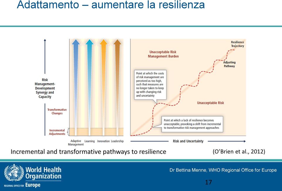 transformative pathways to