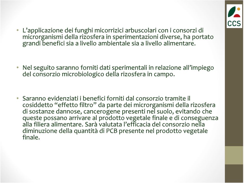 Saranno evidenziati i benefici forniti dal consorzio tramite il cosiddetto effetto filtro da parte dei microrganismi della rizosfera di sostanze dannose, cancerogene presenti nel suolo,