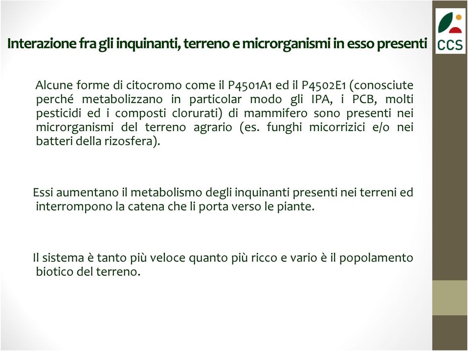 del terreno agrario (es. funghi micorrizici e/o nei batteri della rizosfera).