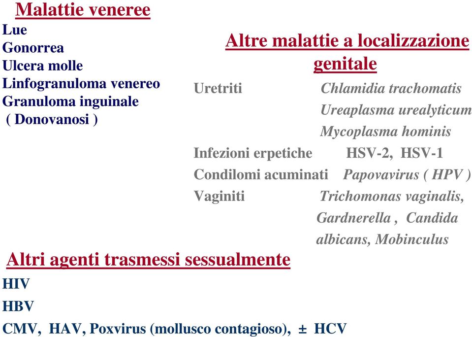 Ureaplasma urealyticum Mycoplasma hominis Infezioni erpetiche HSV-2, HSV-1 Condilomi acuminati Papovavirus ( HPV