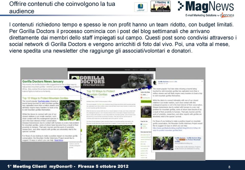 Per Gorilla Doctors il processo comincia con i post del blog settimanali che arrivano direttamente dai membri dello staff