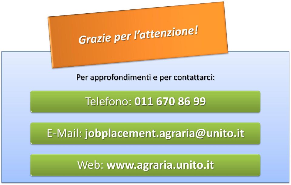 86 99 E-Mail: jobplacement.