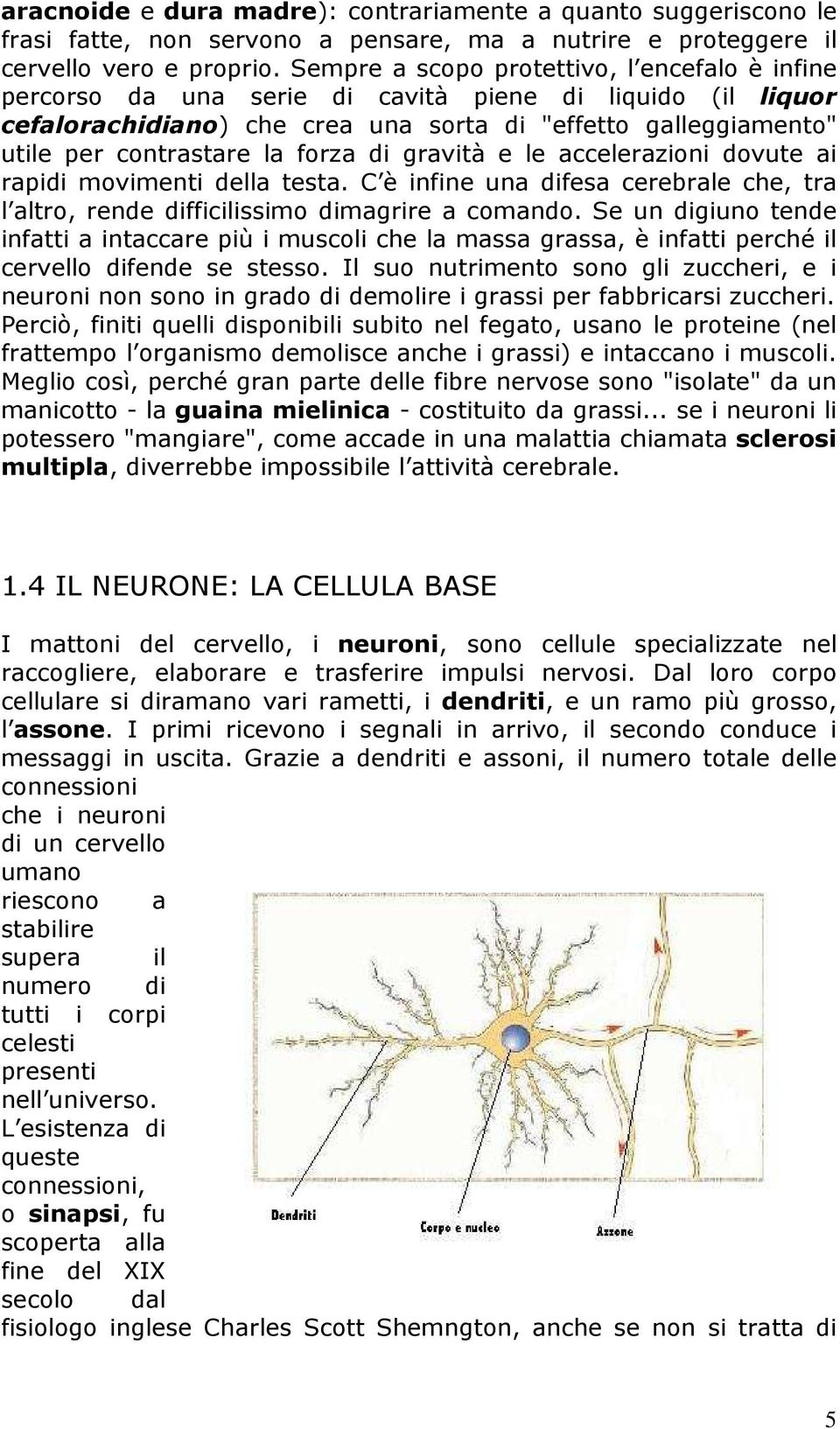 forza di gravità e le accelerazioni dovute ai rapidi movimenti della testa. C è infine una difesa cerebrale che, tra l altro, rende difficilissimo dimagrire a comando.