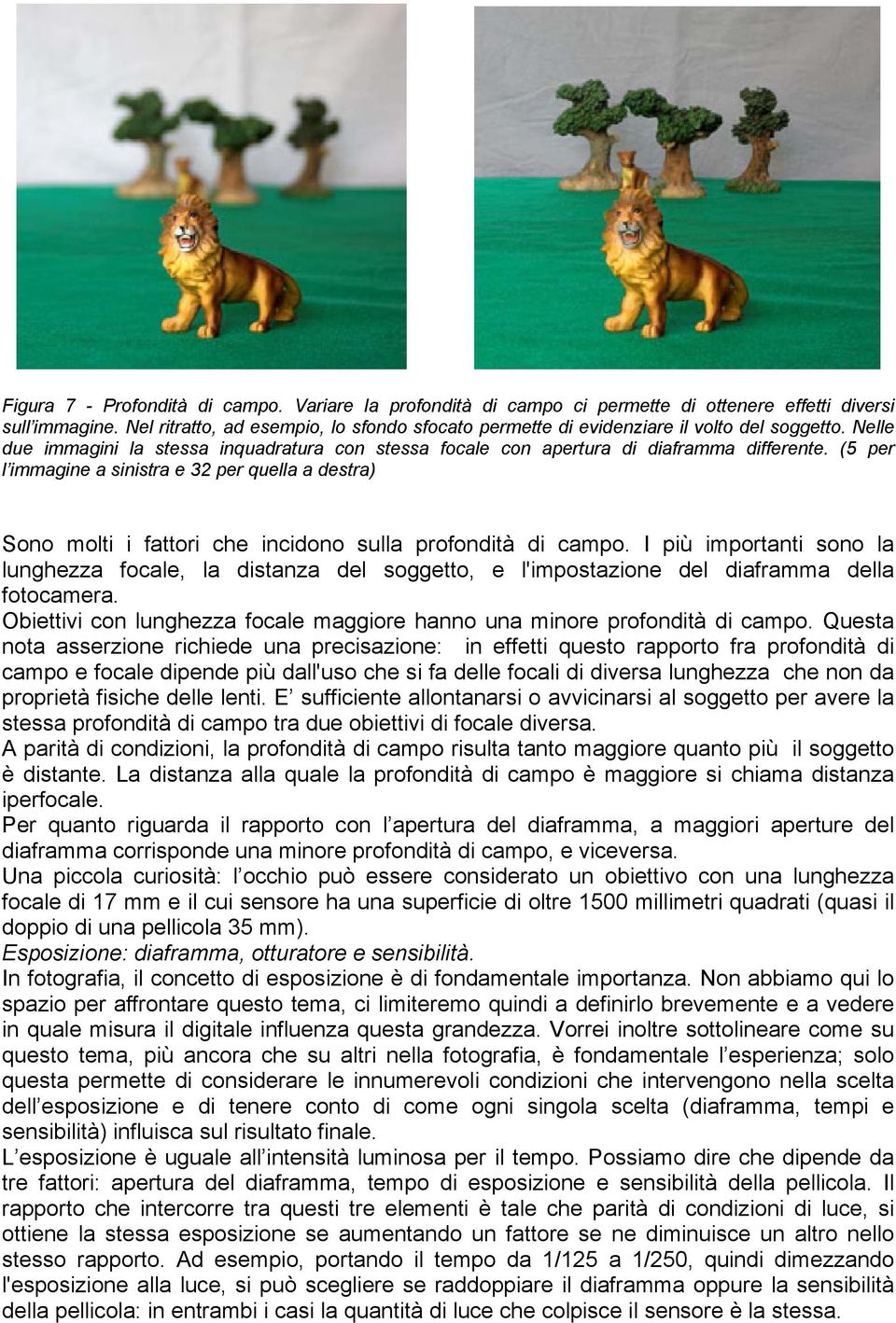 (5 per l immagine a sinistra e 32 per quella a destra) Sono molti i fattori che incidono sulla profondità di campo.