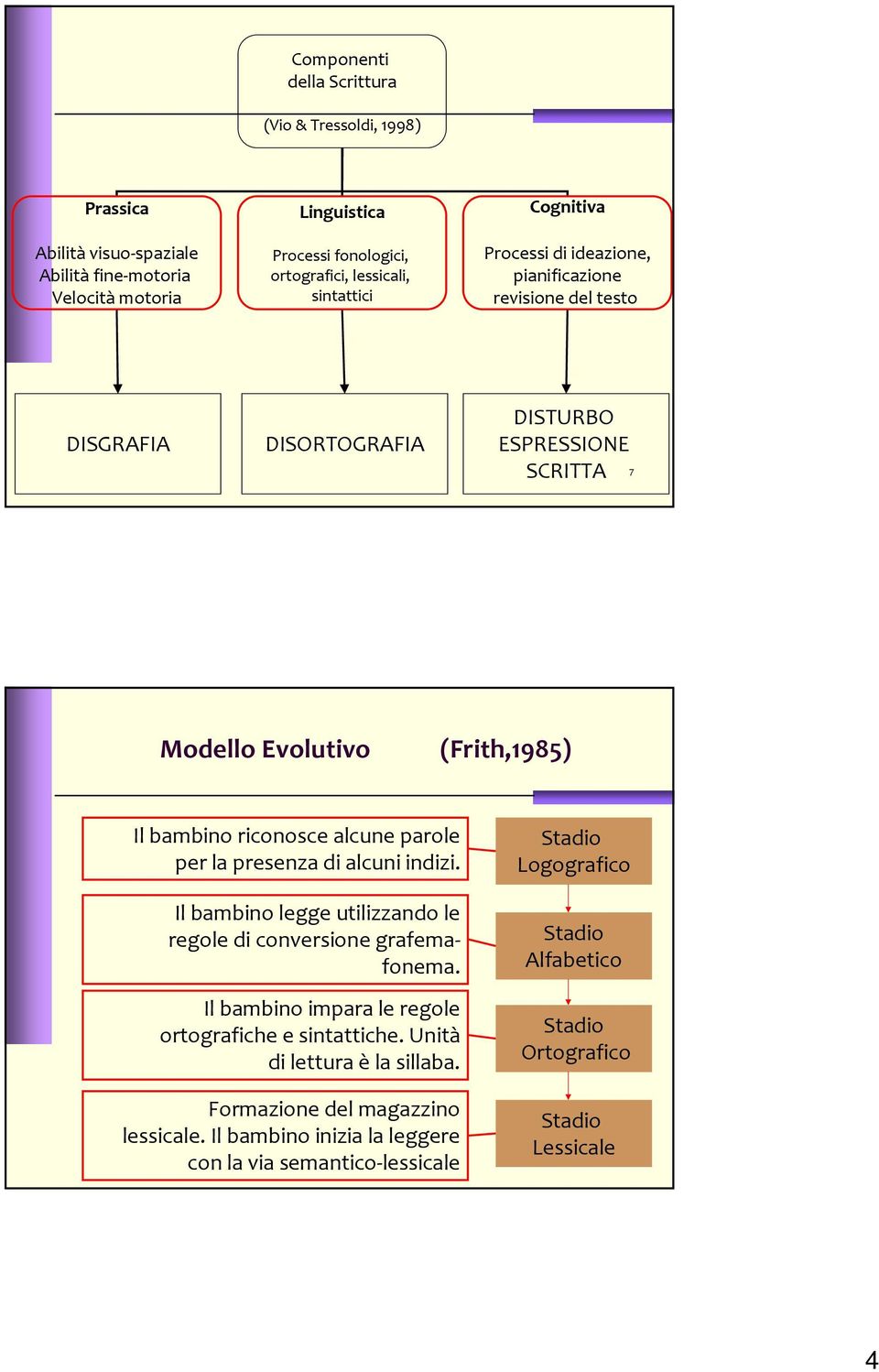 riconosce alcune parole per la presenza di alcuni indizi. Il bambino legge utilizzando le regole di conversione grafemafonema. Il bambino impara le regole ortografiche e sintattiche.