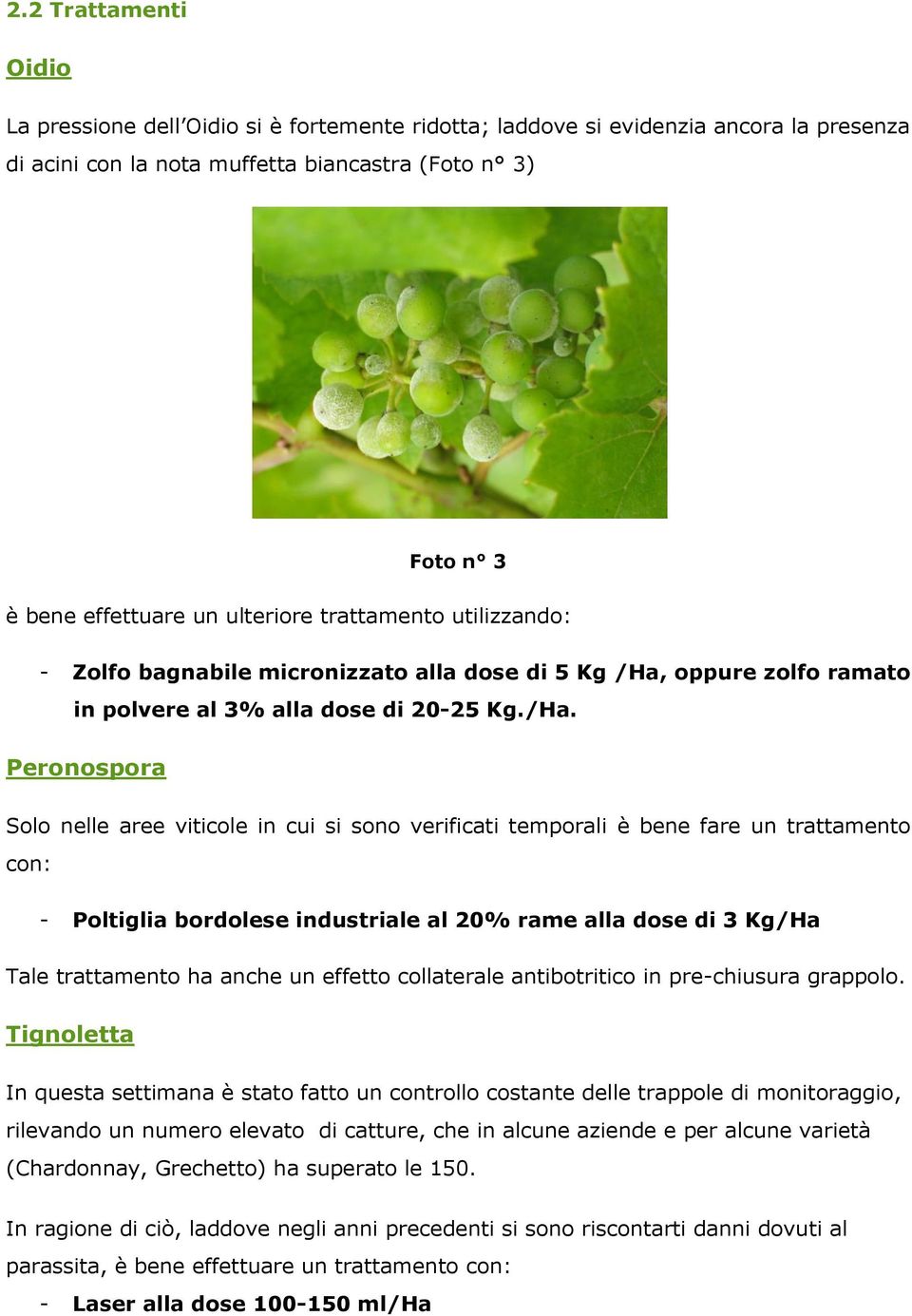 oppure zolfo ramato in polvere al 3% alla dose di 20-25 Kg./Ha.