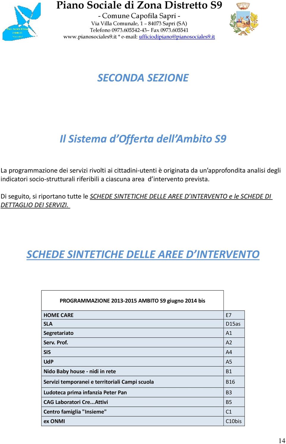 SCHEDE SINTETICHE DELLE AREE D INTERVENTO PROGRAMMAZIONE 2013 2015 AMBITO S9 giugno 2014 bis HOME CARE SLA Segretariato Serv. Prof.