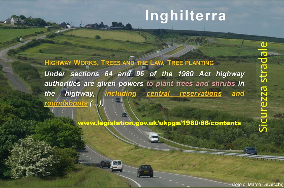 plant trees and shrubs in the highway, including central reservations and