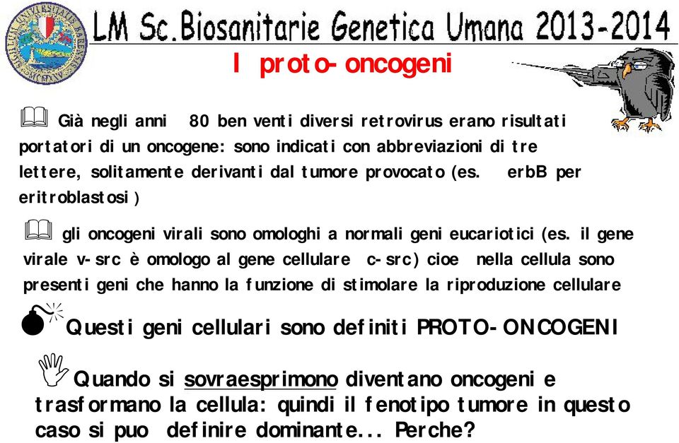 il gene virale v-src è omologo al gene cellulare c-src ) cioe nella cellula sono presenti geni che hanno la funzione di stimolare la riproduzione cellulare Questi