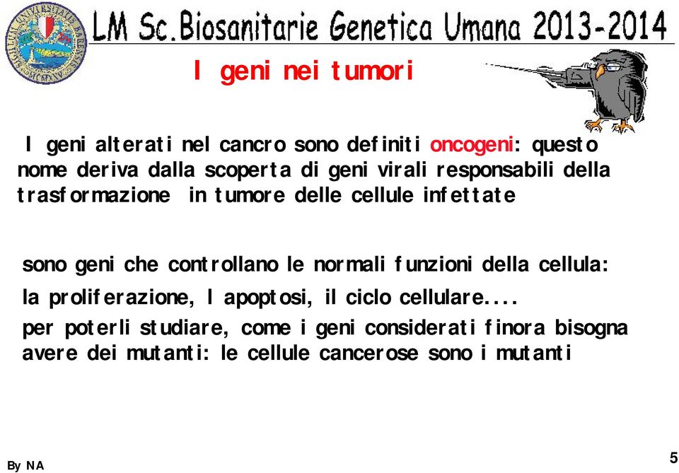 controllano le normali funzioni della cellula: la proliferazione, l apoptosi, il ciclo cellulare.