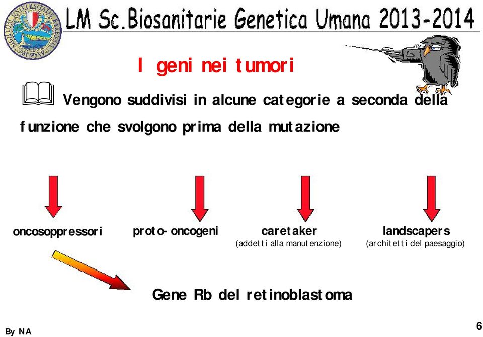 oncosoppressori proto-oncogeni caretaker landscapers (addetti