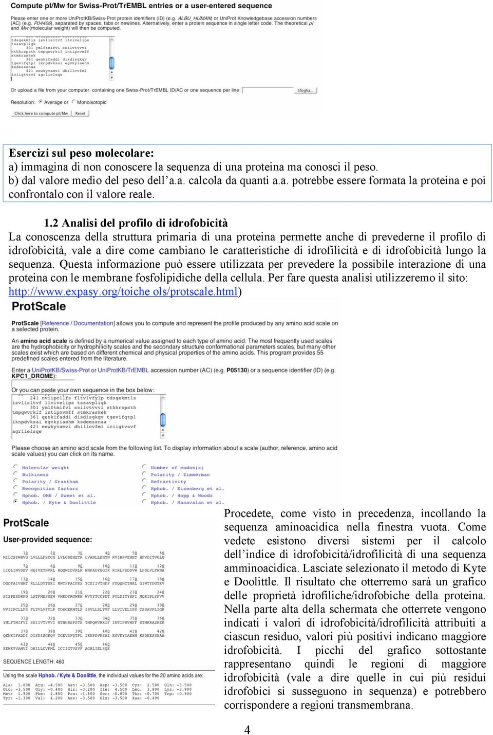 idrofilicità e di idrofobicità lungo la sequenza. Questa informazione può essere utilizzata per prevedere la possibile interazione di una proteina con le membrane fosfolipidiche della cellula.