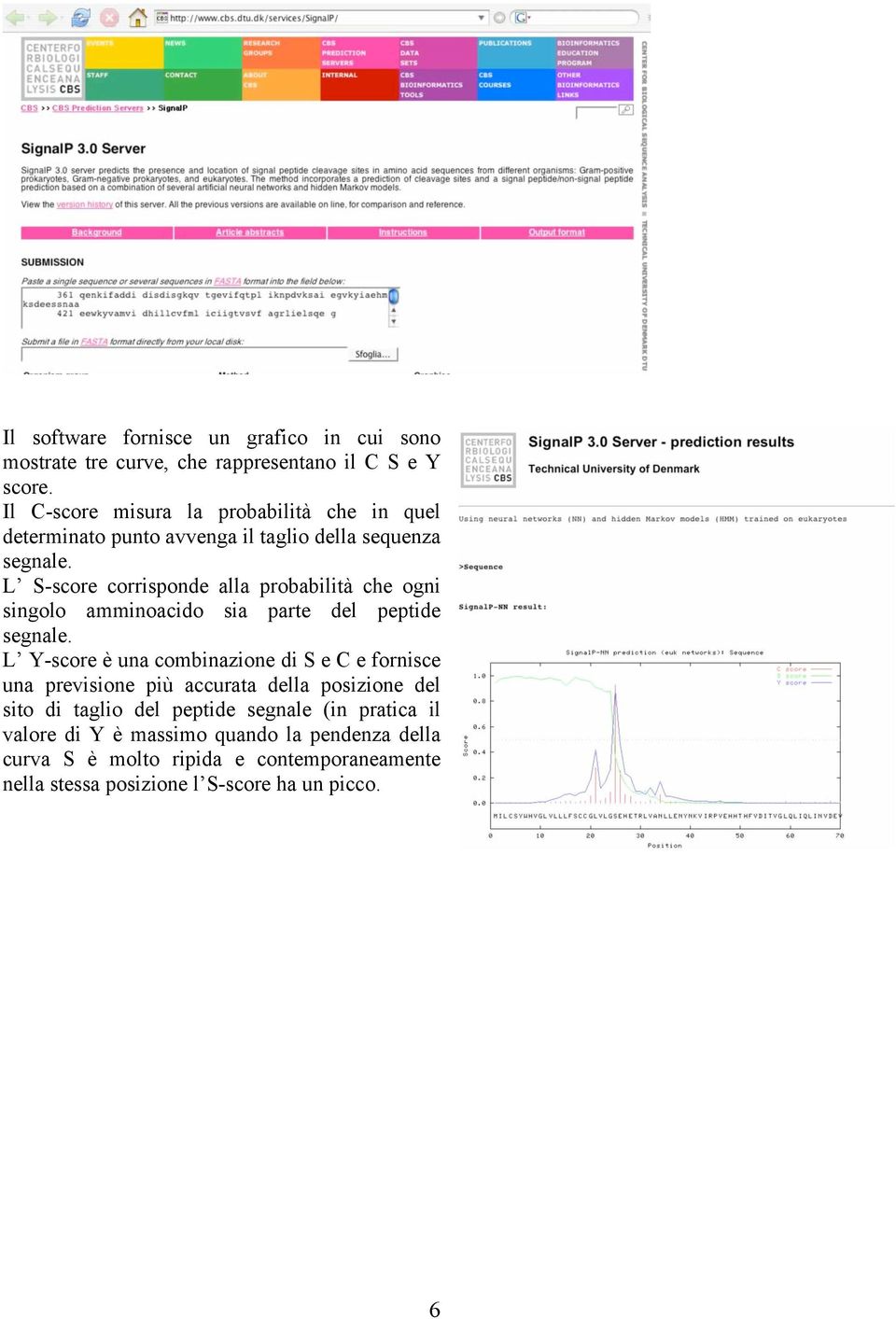 L S-score corrisponde alla probabilità che ogni singolo amminoacido sia parte del peptide segnale.