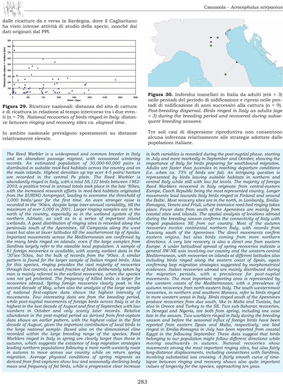 National recoveries of birds ringed in Italy: distance between ringing and recovery sites vs. elapsed time. In ambito nazionale prevalgono spostamenti su distanze relativamente elevate.