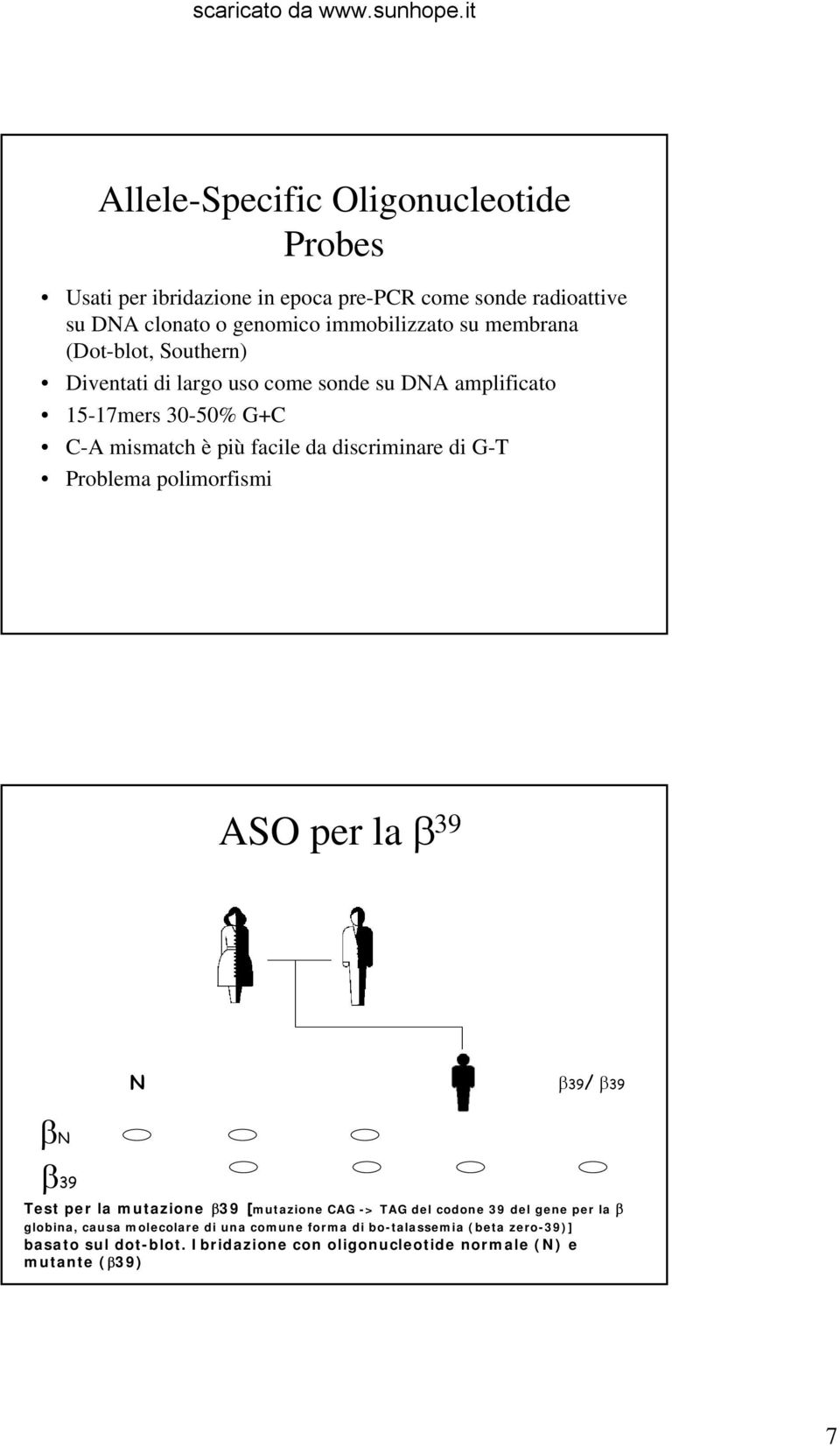 G-T Problema polimorfismi ASO per la β 39 N β39/ β39 βn β39 Test per la mutazione β39 [mutazione CAG -> TAG del codone 39 del gene per la β globina,