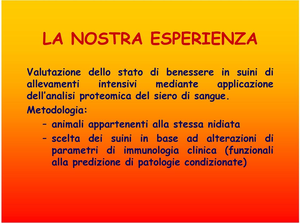 Metodologia: animali appartenenti alla stessa nidiata scelta dei suini in base ad