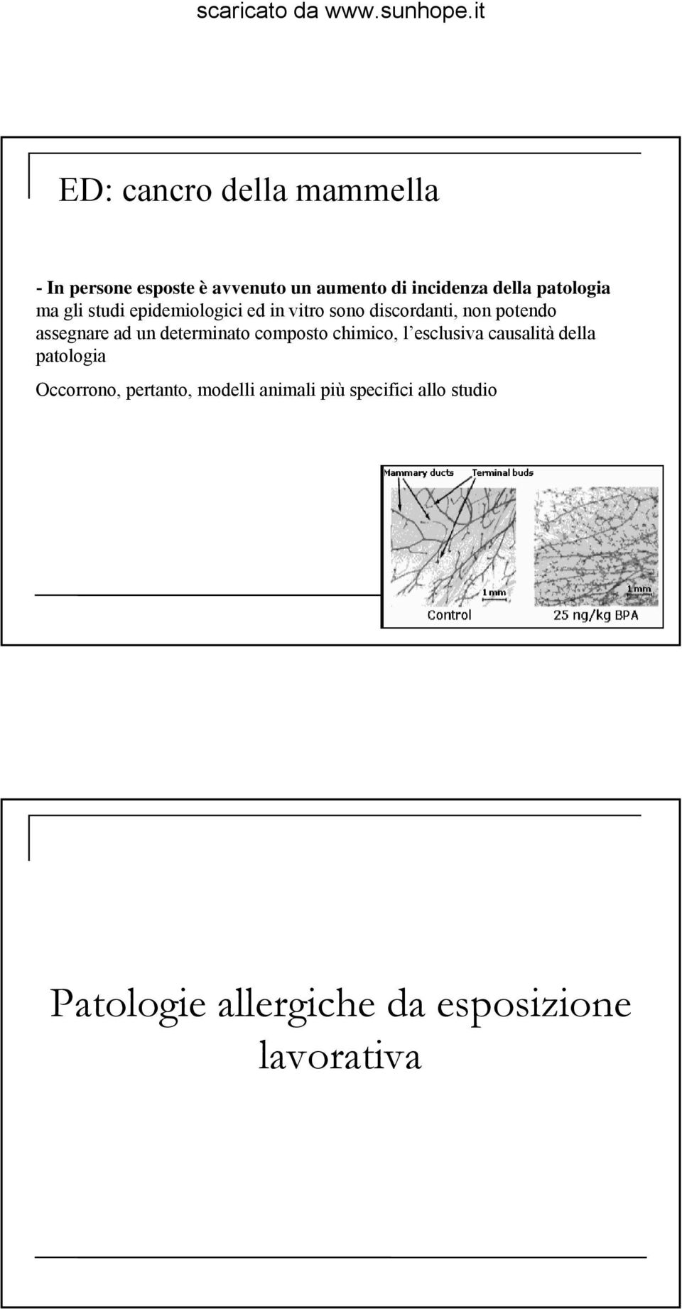 ad un determinato composto chimico, l esclusiva causalità della patologia Occorrono,