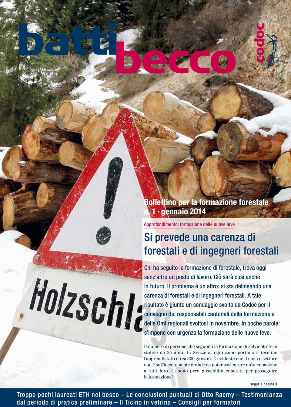 lavoro. Ciò sarà così anche in futuro. Il problema è un altro: si sta delineando una carenza di forestali e di ingegneri forestali.