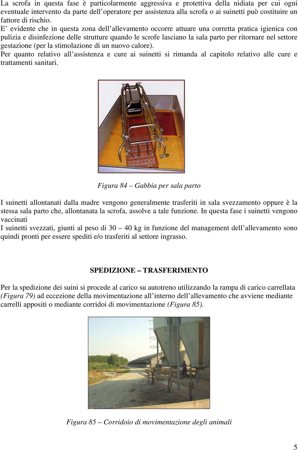 E evidente che in questa zona dell allevamento occorre attuare una corretta pratica igienica con pulizia e disinfezione delle strutture quando le scrofe lasciano la sala parto per ritornare nel