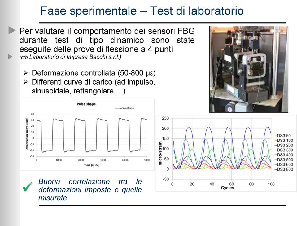 di Impresa Bacchi s.r.l.