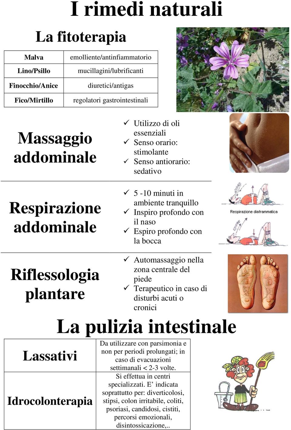 la bocca Riflessologia plantare Lassativi Idrocolonterapia Automassaggio nella zona centrale del piede Terapeutico in caso di disturbi acuti o cronici La pulizia intestinale Da utilizzare con