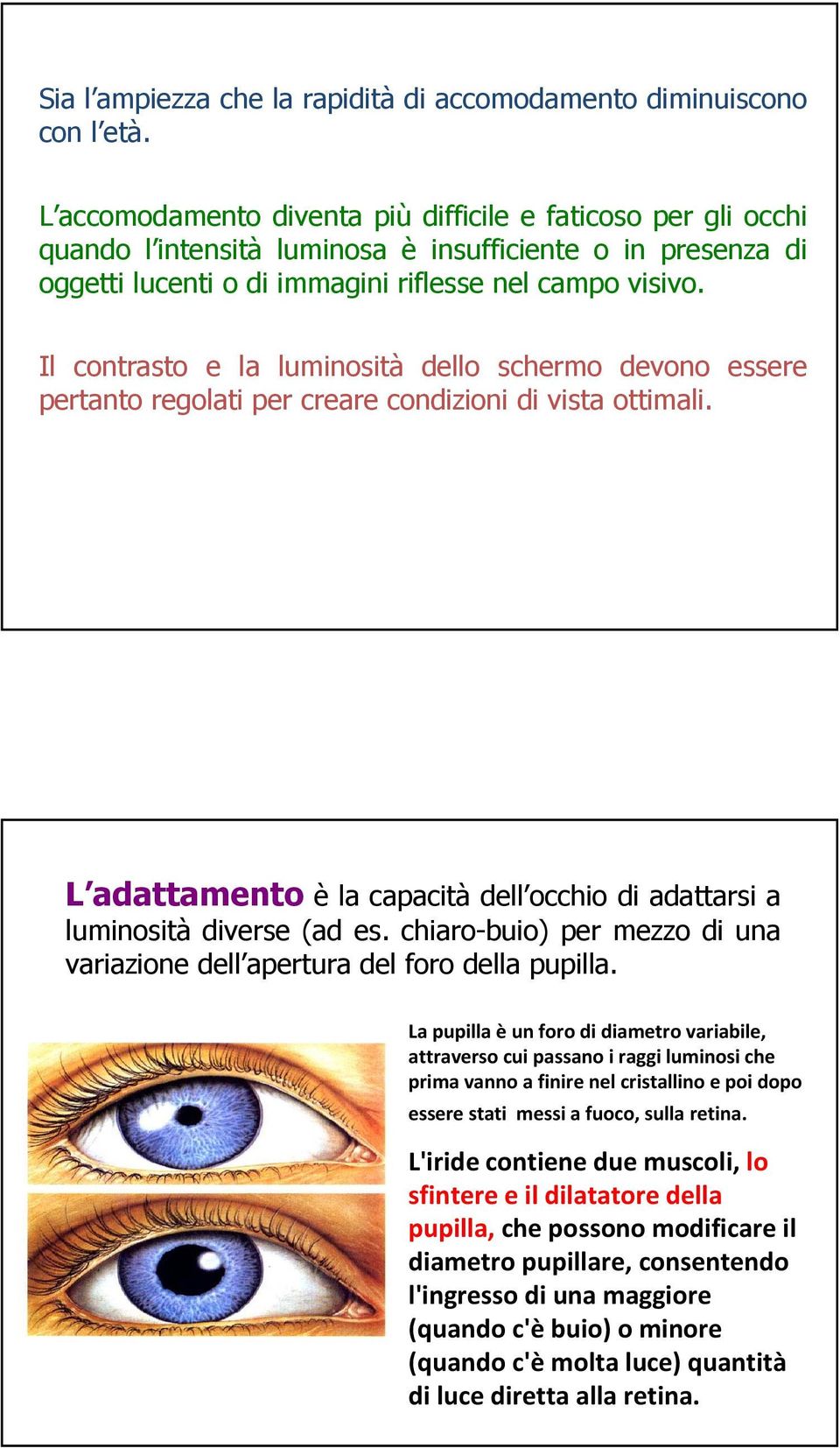 Il contrasto e la luminosità dello schermo devono essere pertanto regolati per creare condizioni di vista ottimali. L adattamento è la capacità dell occhio di adattarsi a luminosità diverse (ad es.