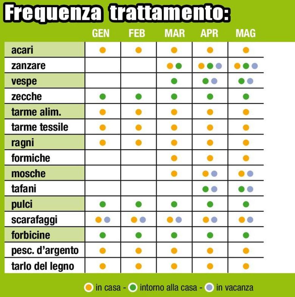 tarme tessile ragni formiche mosche tafani pulci