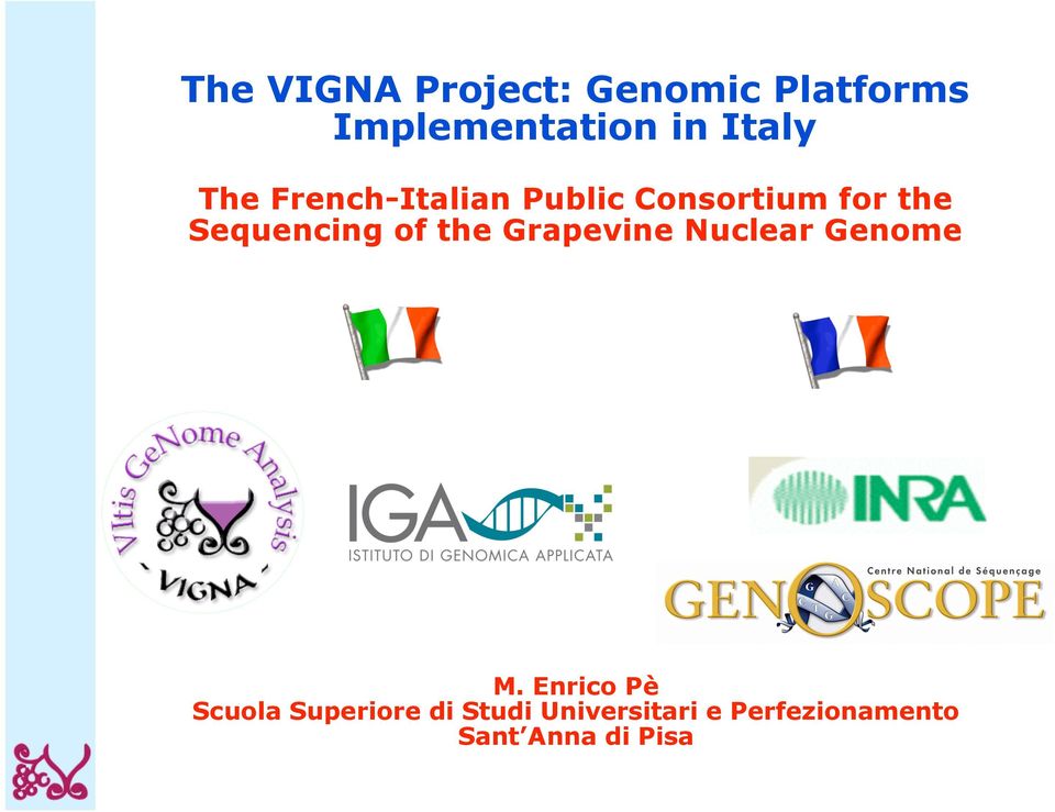 Sequencing of the Grapevine Nuclear Genome M.