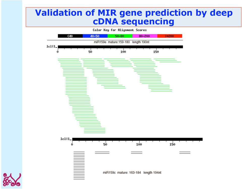 prediction by