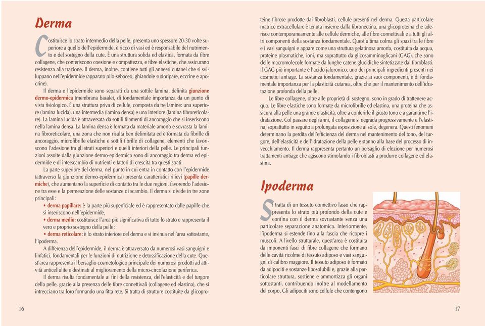 Il derma, inoltre, contiene tutti gli annessi cutanei che si sviluppano nell epidermide (apparato pilo-sebaceo, ghiandole sudoripare, eccrine e apocrine).