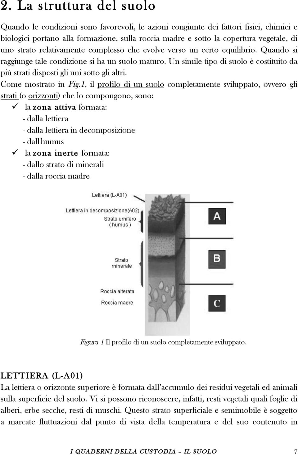 Un simile tipo di suolo è costituito da più strati disposti gli uni sotto gli altri. Come mostrato in Fig.