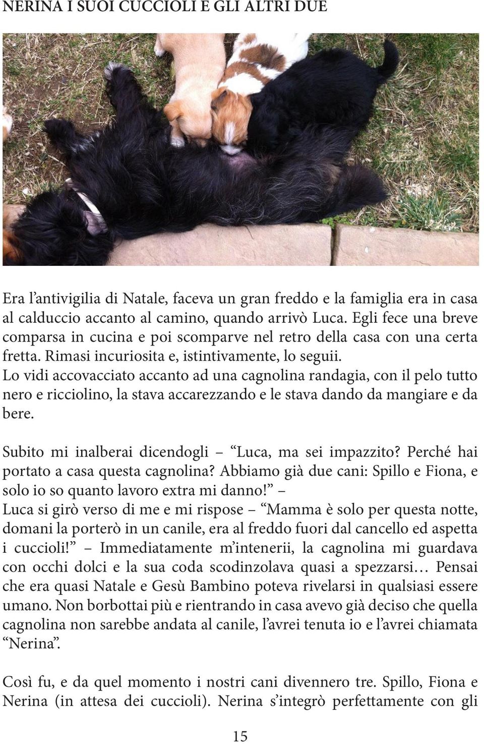 Lo vidi accovacciato accanto ad una cagnolina randagia, con il pelo tutto nero e ricciolino, la stava accarezzando e le stava dando da mangiare e da bere.