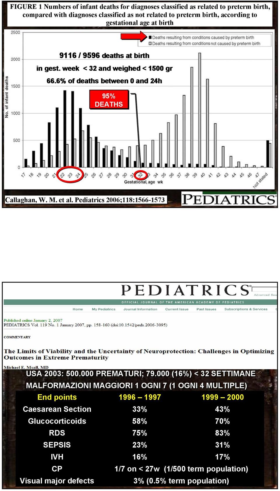 Pediatrics 2006;118:1566-1573 23 USA 2003: 500.000 PREMATURI; 79.